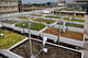 Research Category- Award of Excellence (professional): Green Roof Innovation Testing (GRIT) Laboratory by University of Toronto, John H. Daniels Faculty of Architecture, Landscape, and Design