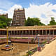 Potramarai Kulam aka the Golden Lotus Pool