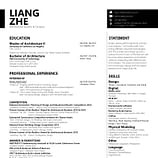 Zhe Liang