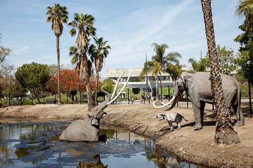 The La Brea Tar Pits in Los Angeles, Image courtesy of Natural History Museums of Los Angeles County.