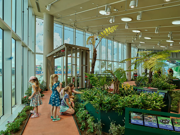 ​Audubon Nature Institute Aquarium & Insectarium (Photo: Tim Hursley)