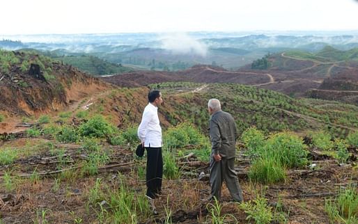 Indonesian President Joko Widodo surveying the Nusantara site in 2019. Image: BPMI President's Secretariat/Muchlis Jr <a href="https://commons.wikimedia.org/wiki/File:President_visiting_the_new_capital.jpg">via Wikimedia Commons.</a>