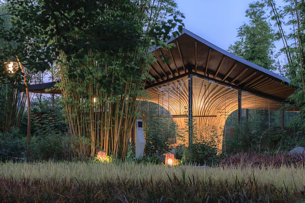 View of Bamboo and Lotus from the Rice Field Bamboo Forest ©Arch-Exist Photography