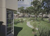 Central Campus Lawn Area
