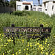 One of the sites of Fritz Haeg's 'Wildflowering LA' in bloom. Credit- LAND