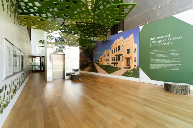 ReCovered: Chicago’s Urban Tree Canopy Exhibition Design | Span | Archinect