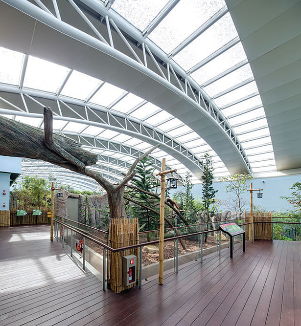 The glazed dome structure of the Giant Panda Forest encloses a temperature and humidity-controlled space that maintains a strong connection with the changing patterns of daylight