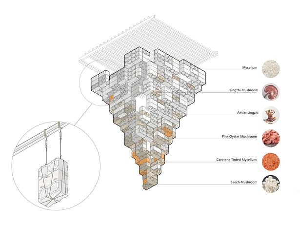 Axon Diagram © Studio Link-Arc