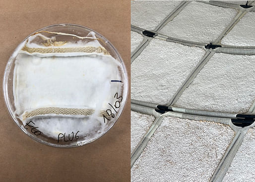 At left, a hydrophobic Mycoknit leather sample as the mycelium is growing and at right, a close-up view of the MycoKnit pavilion project led by architecture professors Felecia Davis and Benay Gürsoy. Credit: Provided by Felecia Davis and Benay Gürsoy. All Rights Reserved.