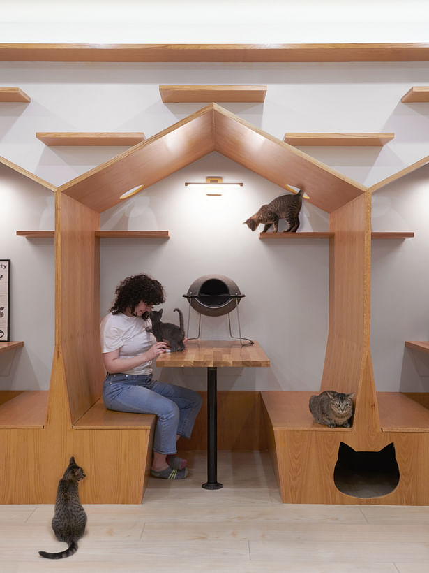 Primary lounge space: booths with integrated floating shelves allow the cats to explore between areas