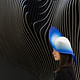 Zaha Hadid Architects: H-Line. Photo: Luke Hayes.