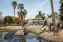 DS+R, Weiss/Manfredi, and Dorte Mandrup to reimagine L.A.'s La Brea Tar Pits