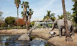 DS+R, Weiss/Manfredi, and Dorte Mandrup to reimagine L.A.'s La Brea Tar Pits