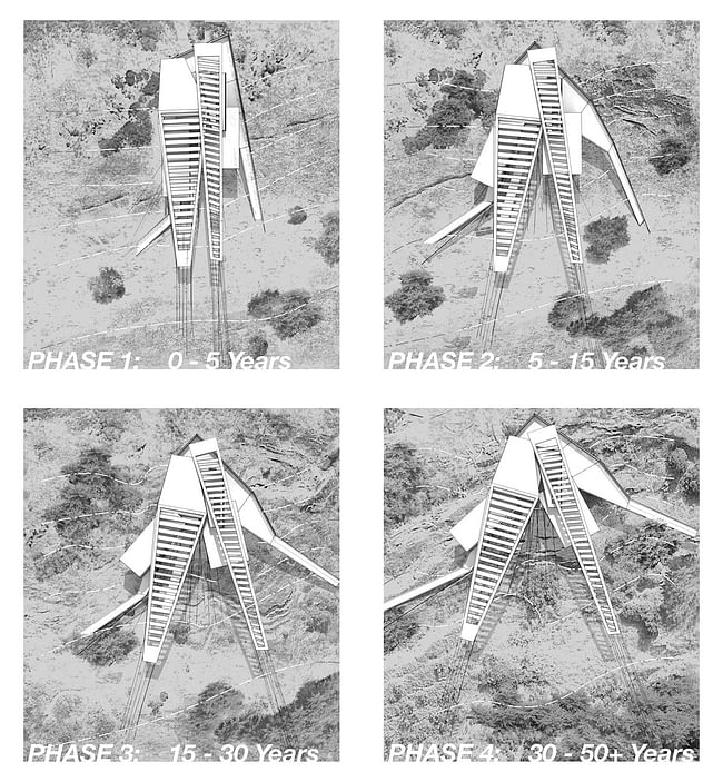 Time-Lapse of unit and site morphologies.