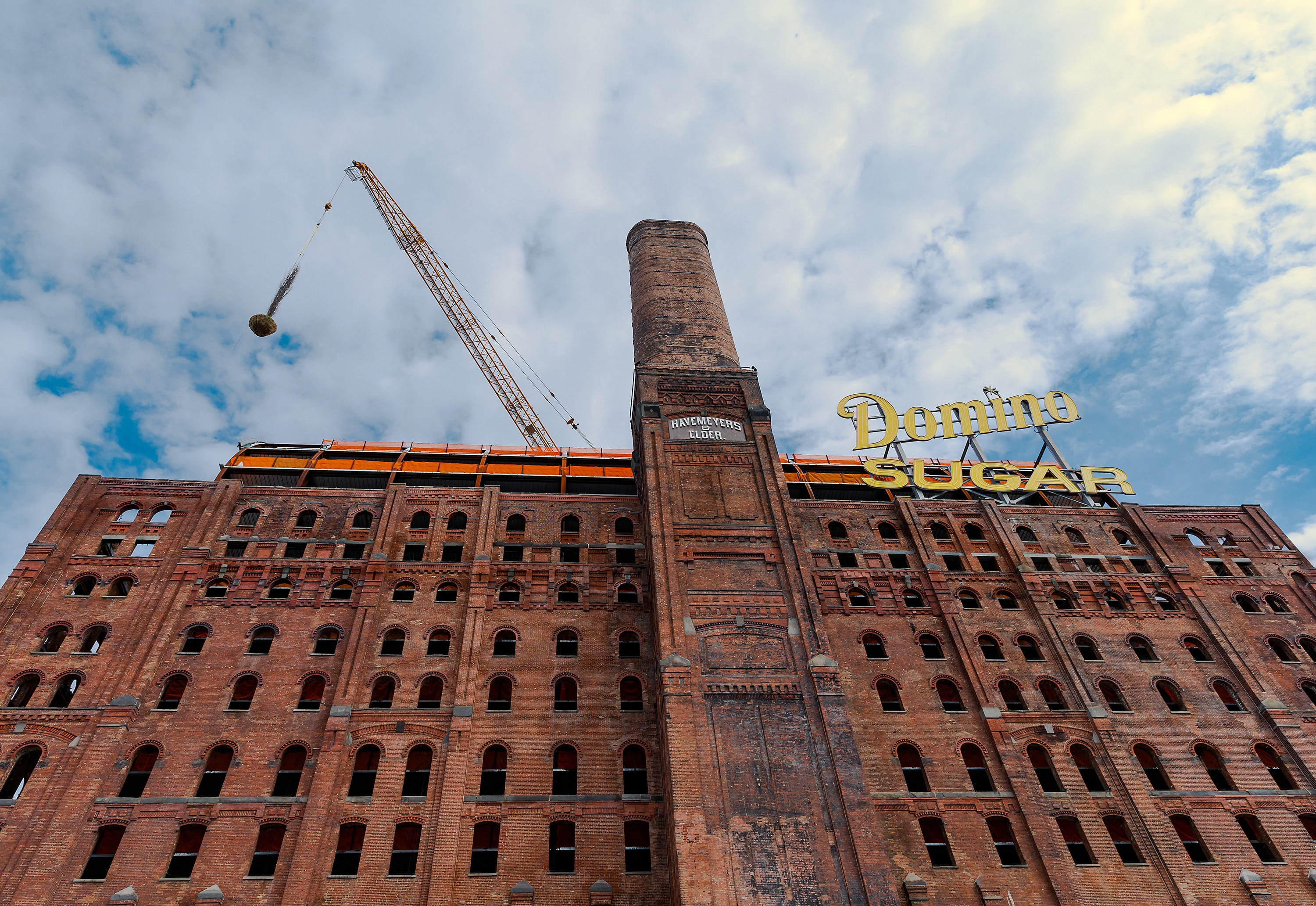Biophilic installation begins at Brooklyn's Domino Sugar Factory