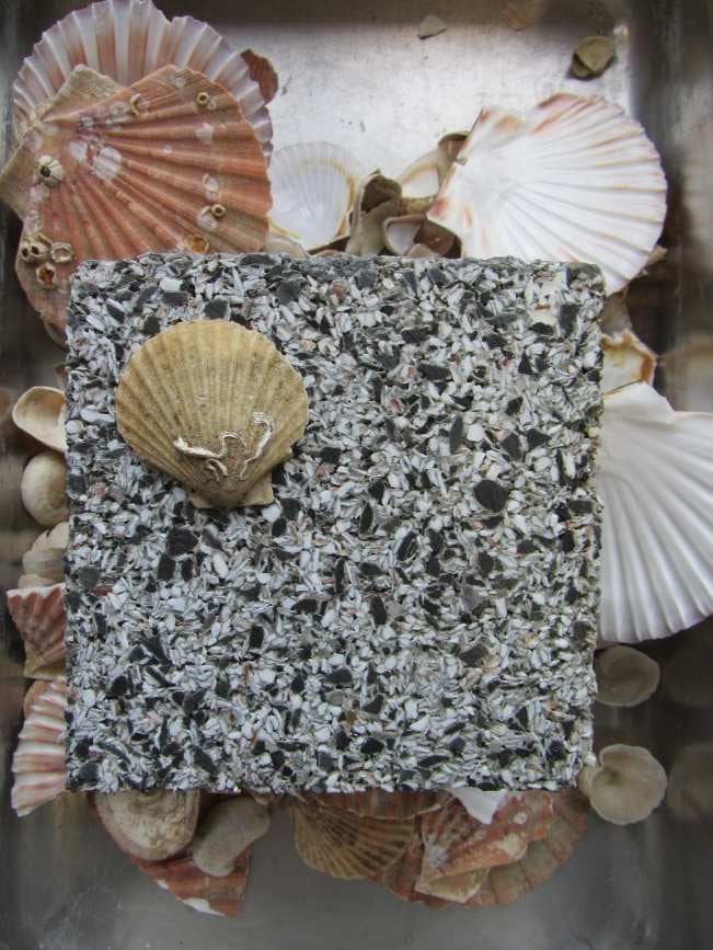 France is cooling their streets with pavers made with shellfish waste ...