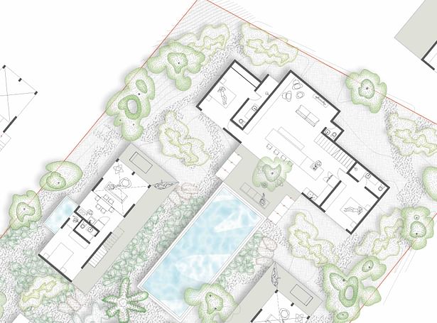 Architect's AutoCAD plans imported in Illustrator for presentation drawing embellishment 