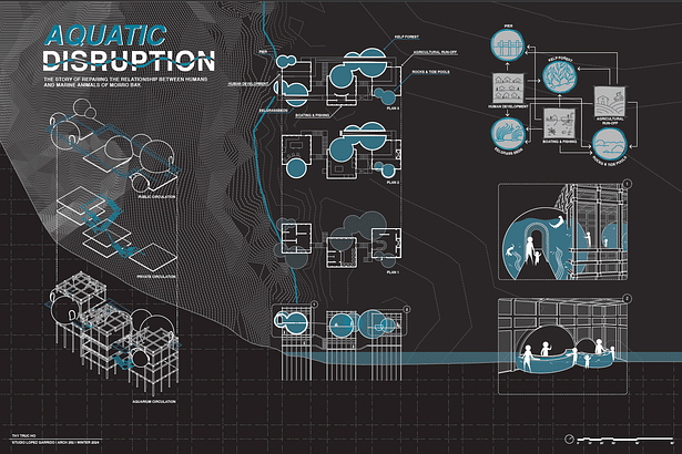 Hybrid Drawing Poster