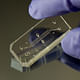 PRODUCT: HUMAN ORGANS-ON-CHIPS. Designed by Donald Ingber and Dan Dongeun Huh.