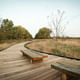 John M Craddock Wetland Nature Preserve in Muncie, IN by Design/Build Team at Ball State University; Team Member: Cory McCurdy