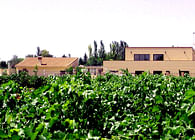 House among vineyards