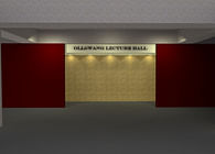 Ollswang Lecture Hall - Lighting and Acoustics