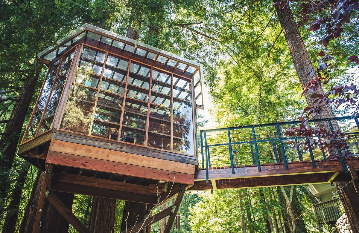 Tamalpais Temple by O2 Treehouse