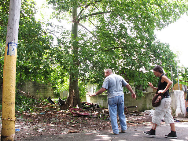 Informal urban horticulture and shared knowledge networks