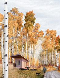 The Aspen Bothy