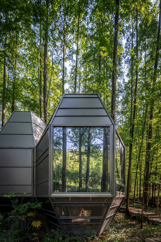 Pinecone Cabin ©Chen Xi Studio