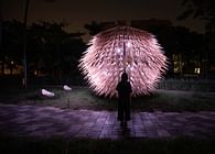 The Living Lantern is a kinetic and light installation aims to offer hope and guidance through periods of darkness. 