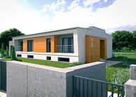 Exterior visualizations - Single-family house 