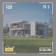 Modern Home Plan 106