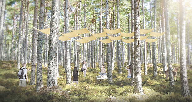 A Canvas Installation Released into a Forest by Former Students