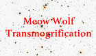 Extra Extra: Meow Wolf Transmogrification