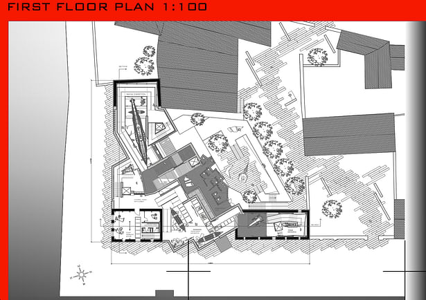 First Floor plan 1:100 