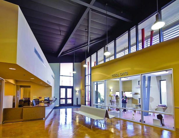 Lobby and Reception Desk