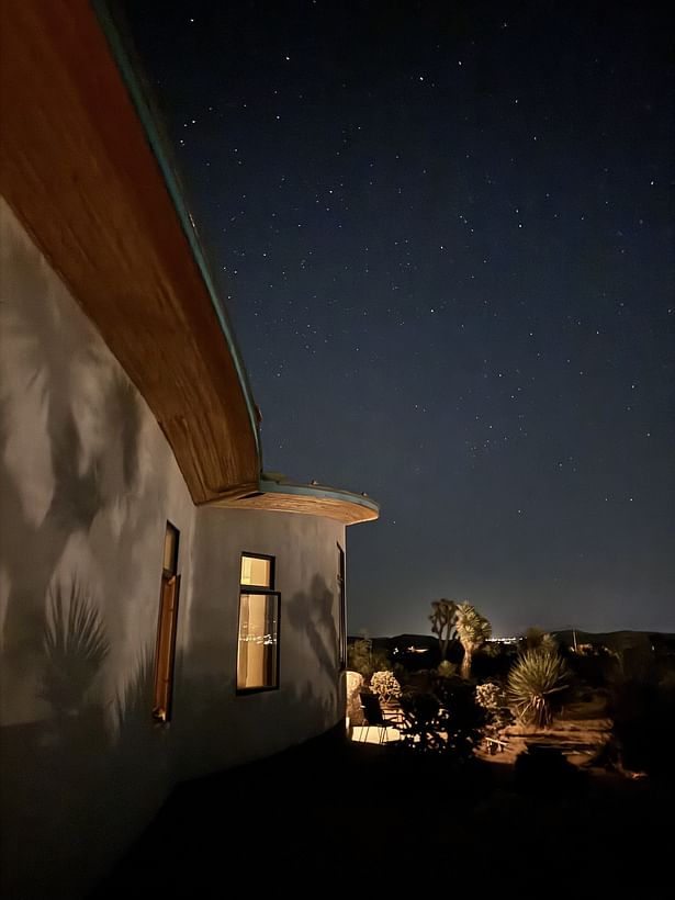 Starlight shadows from Joshua Trees on site.