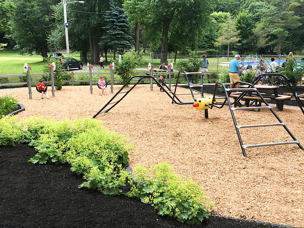 The spider play sculpture at Anne Coghlan Play Garden.