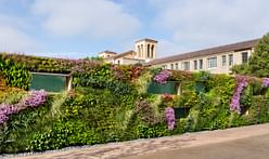 Living wall systems can reduce heat lost from existing buildings by 31% say researchers