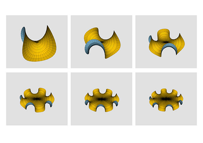 Minimal surface catalogue - Enneper surface. (© DRX Team)