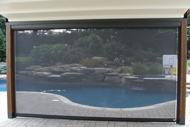 View of the backyard through the solar shade fabric