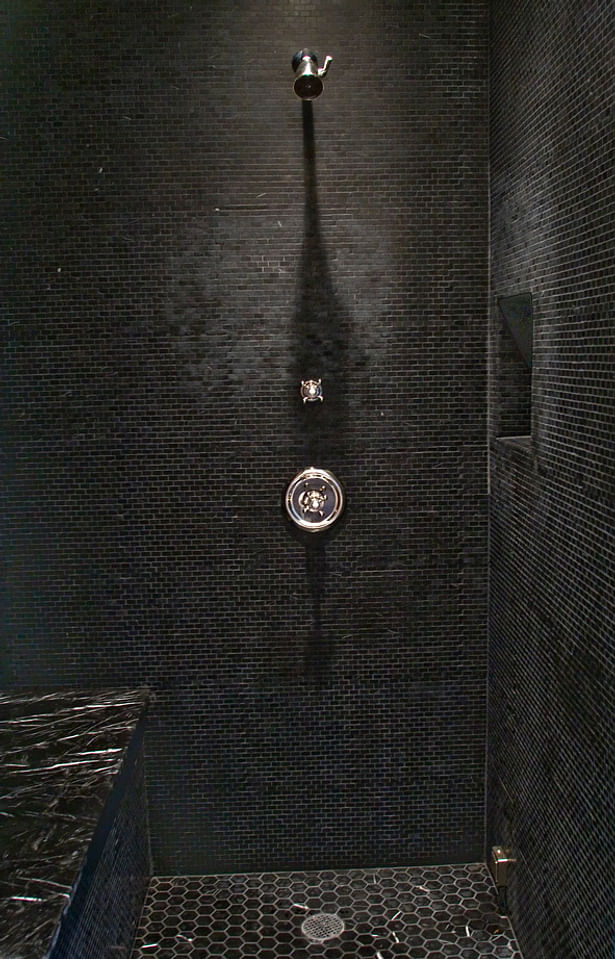 Master Bathroom steam shower
