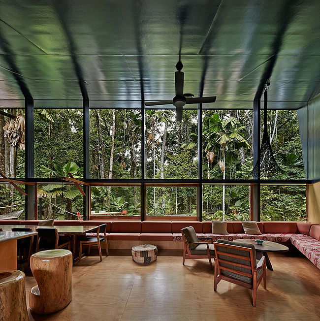 Cape Tribulation House in Daintree, Australia by m3architecture; Photo: Peter Bennetts