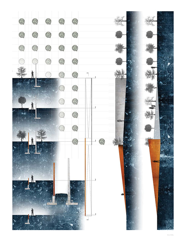 Section, Plan, and Elevations