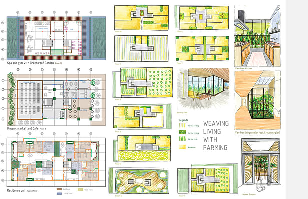 plans , hand render plus revit