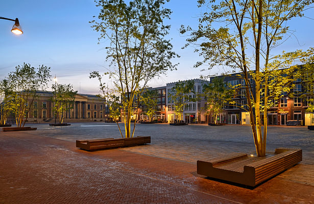 Wilhelmina Square tree benches in the evening