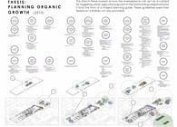 THESIS: PLANNING ORGANIC GROWTH (2010)