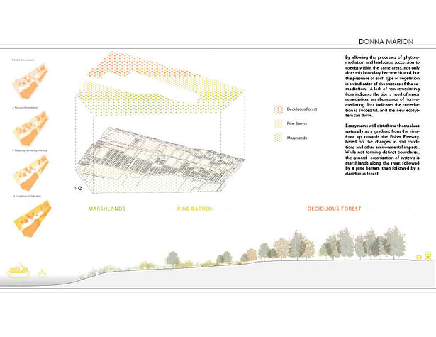 Successional Landscaping - plan and section diagrams