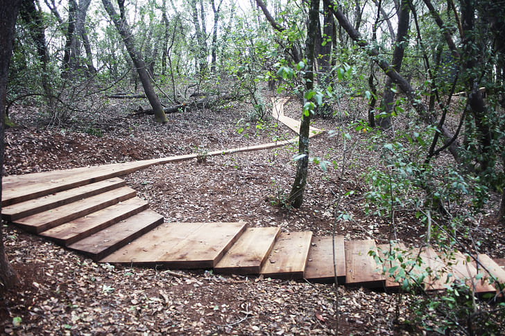 Dry Creek Camp in the Redwood Forest. Image courtesy of Terremoto Landscape.